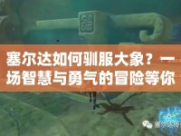 塞爾達如何馴服大象？一場智慧與勇氣的冒險等你來挑戰(zhàn)！