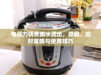 電壓力鍋煮粥水流出，原因、應(yīng)對策略與使用技巧
