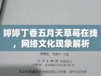 婷婷丁香五月天草莓在線，網(wǎng)絡(luò)文化現(xiàn)象解析