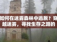 如何在迷霧森林中逃脫？穿越迷霧，尋找生存之路的攻略！