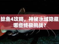 鯰魚4攻略，神秘水域隱藏哪些終極挑戰(zhàn)？