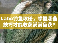 Labo釣魚攻略，掌握哪些技巧才能收獲滿滿魚獲？