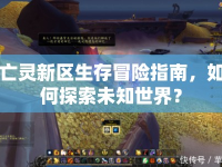 亡靈新區(qū)生存冒險指南，如何探索未知世界？