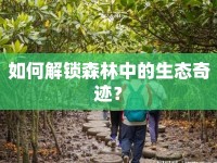 如何解鎖森林中的生態(tài)奇跡？