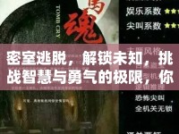 密室逃脫，解鎖未知，挑戰(zhàn)智慧與勇氣的極限，你準(zhǔn)備好了嗎？
