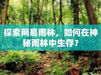 探索網(wǎng)易雨林，如何在神秘雨林中生存？