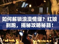 如何解鎖浪漫情緣？紅娘別跑，揭秘攻略秘籍！