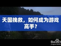 天國(guó)挽救，如何成為游戲高手？