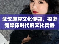 武漢麻豆文化傳媒，探索新媒體時(shí)代的文化傳播