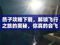 燕子攻略下載，解鎖飛行之旅的奧秘，你真的會飛嗎？