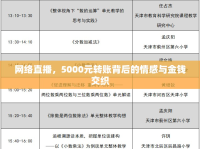 網(wǎng)絡(luò)直播，5000元轉(zhuǎn)賬背后的情感與金錢交織