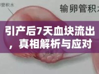 引產(chǎn)后7天血塊流出，真相解析與應(yīng)對策略