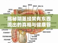 揭秘陰莖經(jīng)常有東西流出的真相與健康管理