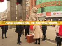 上海寶山區(qū)疫情最新動態(tài)，社區(qū)共情力量筑起堅韌防線