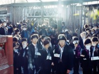 中洲女神魅力何在？問(wèn)道手游論壇揭秘！