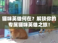 貓咪英雄何在？解鎖你的專屬貓咪英雄之旅！