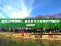 盤龍江畔的狗影，養(yǎng)狗新規(guī)下的城市文明反思與熱議
