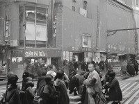 操操操小說(shuō)為何成為當(dāng)代讀者的新寵？