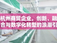 杭州商貿(mào)企業(yè)，創(chuàng)新、融合與數(shù)字化轉(zhuǎn)型的浪潮引領(lǐng)未來