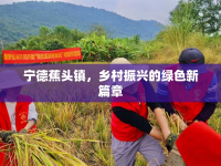 寧德蕉頭鎮(zhèn)，鄉(xiāng)村振興的綠色新篇章