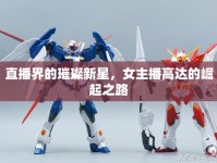 直播界的璀璨新星，女主播高達(dá)的崛起之路