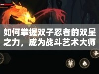 如何掌握雙子忍者的雙星之力，成為戰(zhàn)斗藝術(shù)大師？