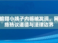 偷甜小姨子內(nèi)褲被發(fā)現(xiàn)，網(wǎng)絡(luò)熱議道德與法律邊界