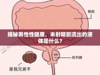 揭秘男性性健康，未射精前流出的液體是什么？
