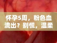 懷孕5周，粉色血流出？別慌，溫柔警報來襲