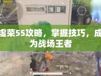 虛榮55攻略，掌握技巧，成為戰(zhàn)場(chǎng)王者
