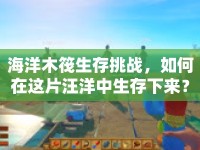 海洋木筏生存挑戰(zhàn)，如何在這片汪洋中生存下來？