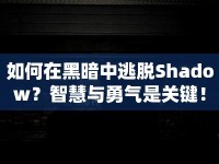 如何在黑暗中逃脫Shadow？智慧與勇氣是關(guān)鍵！