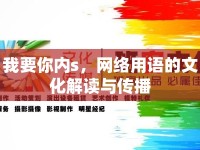 我要你內(nèi)s，網(wǎng)絡(luò)用語(yǔ)的文化解讀與傳播