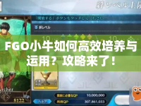 FGO小牛如何高效培養(yǎng)與運用？攻略來了！