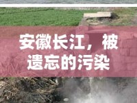 安徽長(zhǎng)江，被遺忘的污染警鐘——長(zhǎng)江之殤的深度剖析