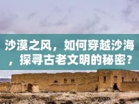 沙漠之風，如何穿越沙海，探尋古老文明的秘密？