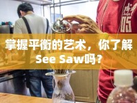 掌握平衡的藝術(shù)，你了解See Saw嗎？
