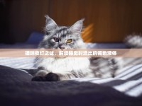 貓咪夜燈之謎，解讀睡覺時(shí)流出的黃色液體