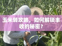 玉米轉(zhuǎn)攻略，如何解鎖豐收的秘密？
