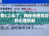 我C上頭了，網(wǎng)絡熱梗背后的心理機制