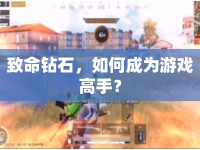 致命鉆石，如何成為游戲高手？
