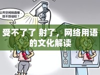 受不了了 射了，網(wǎng)絡(luò)用語(yǔ)的文化解讀