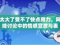 太大了受不了快點(diǎn)用力，網(wǎng)絡(luò)討論中的情感宣泄與表達(dá)