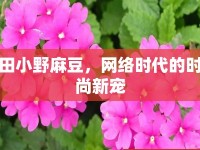 田小野麻豆，網(wǎng)絡(luò)時(shí)代的時(shí)尚新寵