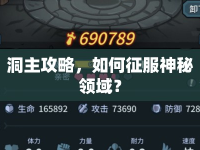 洞主攻略，如何征服神秘領(lǐng)域？