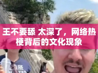 王不要舔 太深了，網(wǎng)絡(luò)熱梗背后的文化現(xiàn)象