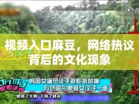 視頻入口麻豆，網(wǎng)絡熱議背后的文化現(xiàn)象