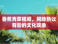 香蕉青草視頻，網(wǎng)絡熱議背后的文化現(xiàn)象