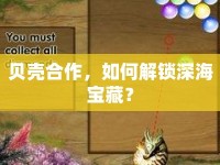 貝殼合作，如何解鎖深海寶藏？