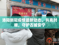 洛陽(yáng)新冠疫情最新動(dòng)態(tài)，共克時(shí)艱，守護(hù)古城安寧